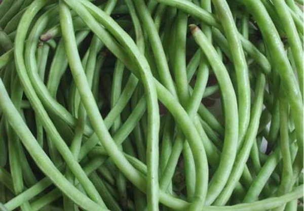Lobiya beans(Barbati) : 250g